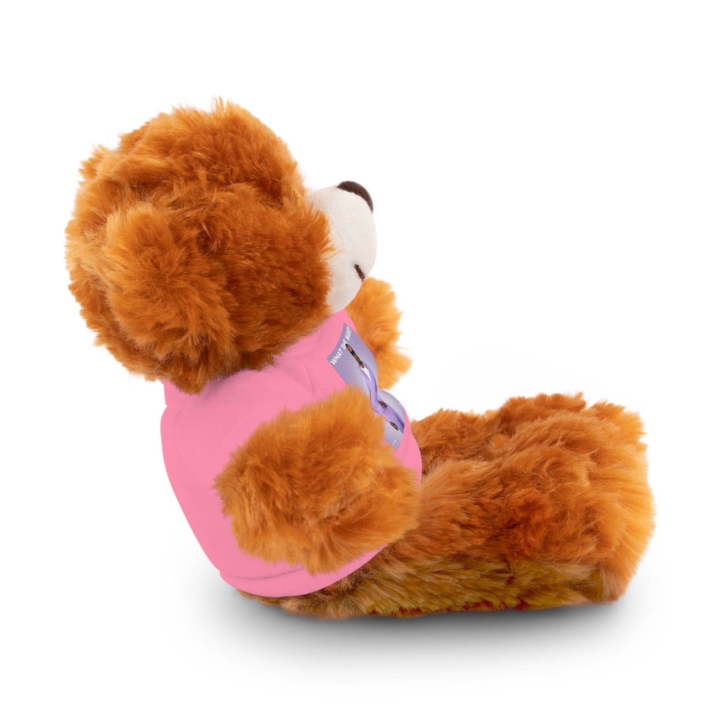 "WHAT SHE WANT" Stuffed Animals (Bear, Lion, Bunny, Sheep etc.)
