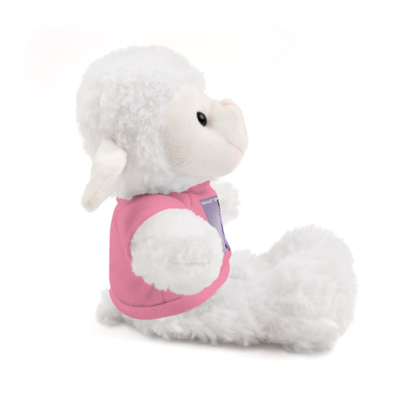 "WHAT SHE WANT" Stuffed Animals (Bear, Lion, Bunny, Sheep etc.)