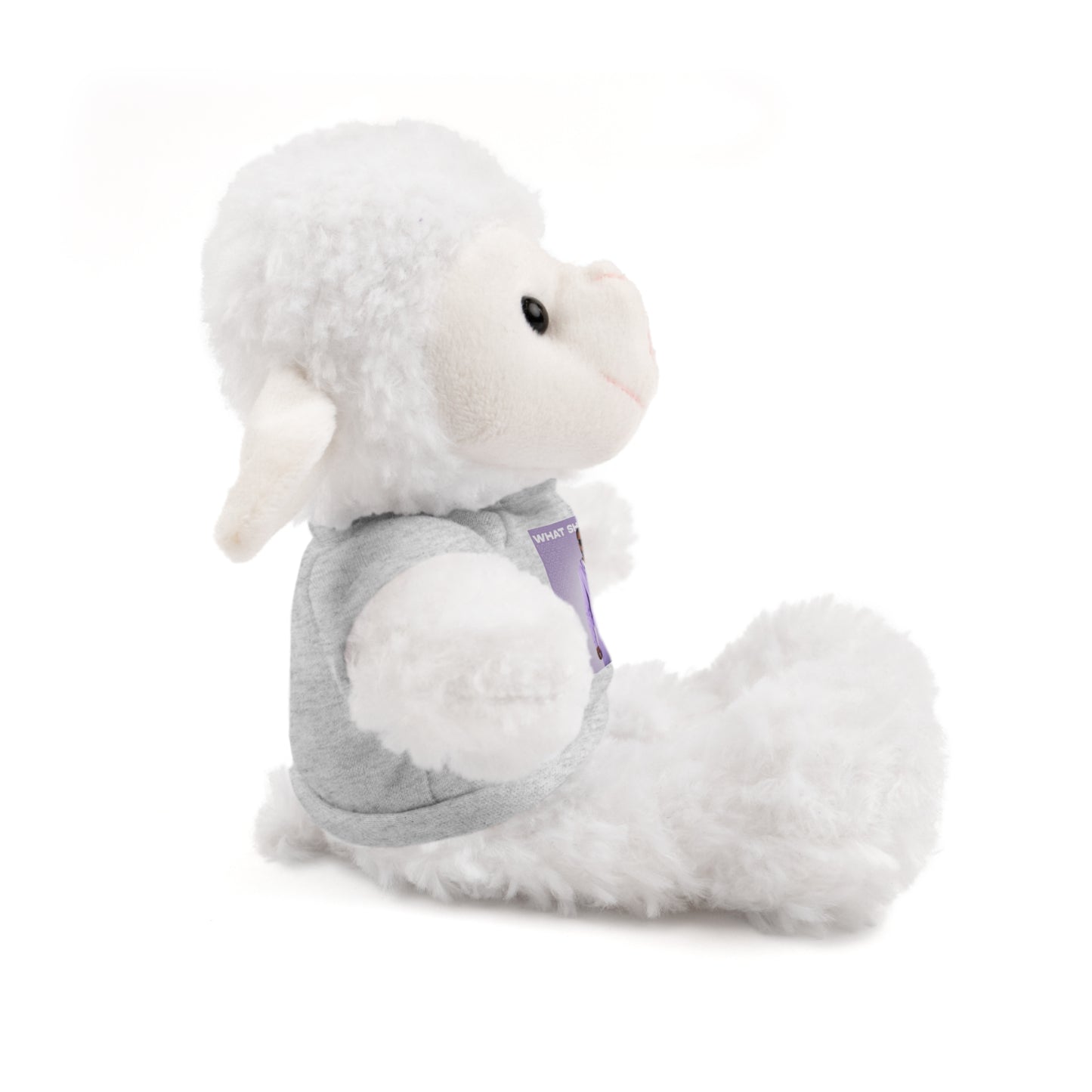 "WHAT SHE WANT" Stuffed Animals (Bear, Lion, Bunny, Sheep etc.)