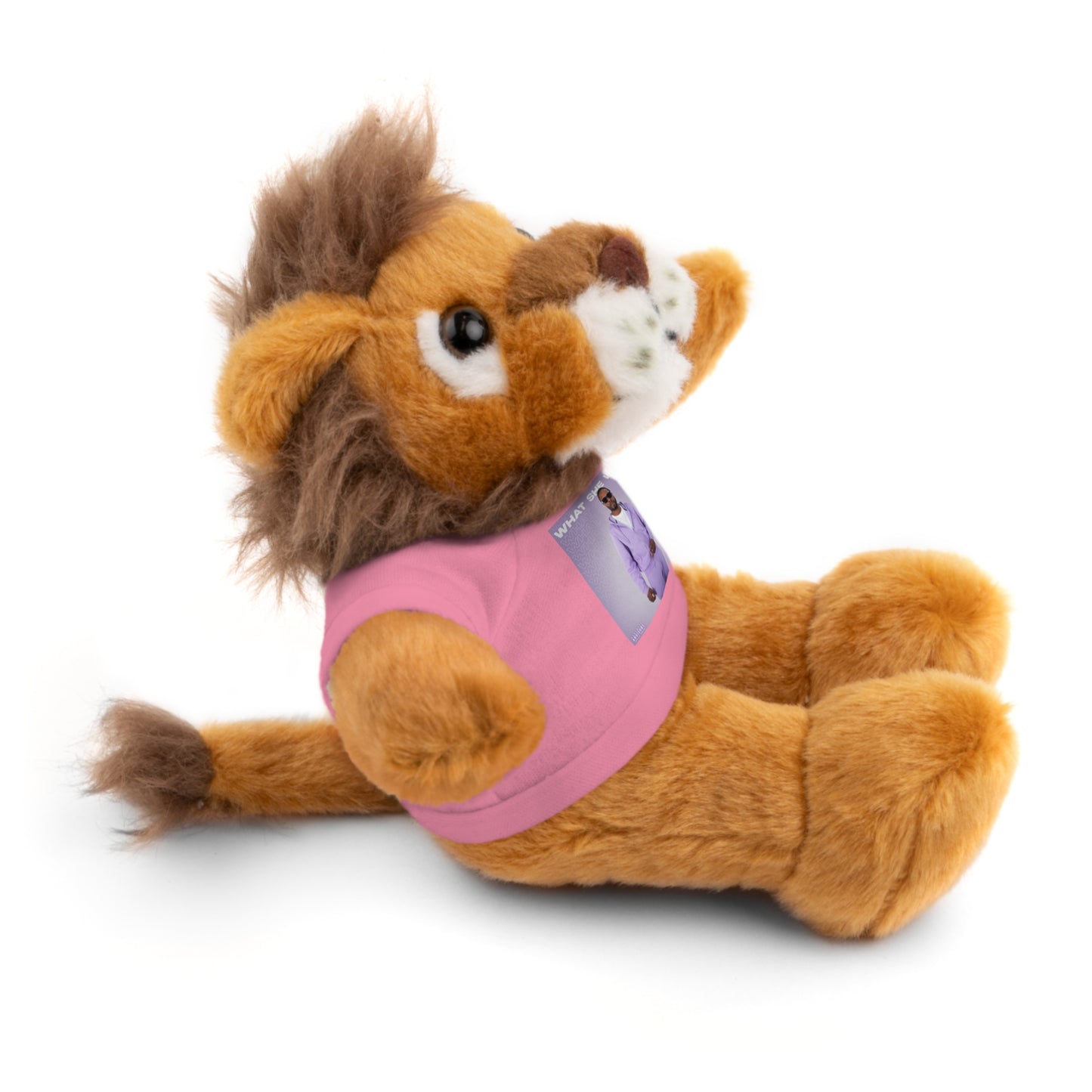 "WHAT SHE WANT" Stuffed Animals (Bear, Lion, Bunny, Sheep etc.)