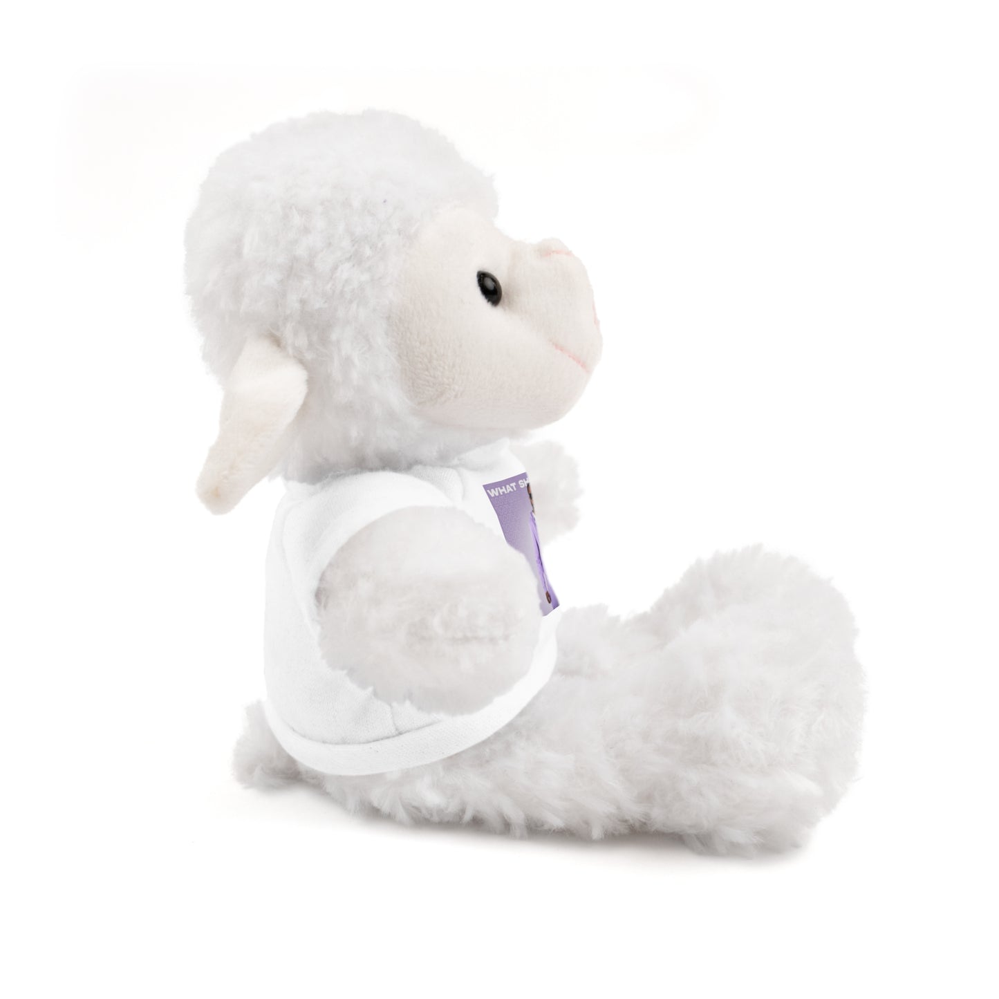 "WHAT SHE WANT" Stuffed Animals (Bear, Lion, Bunny, Sheep etc.)