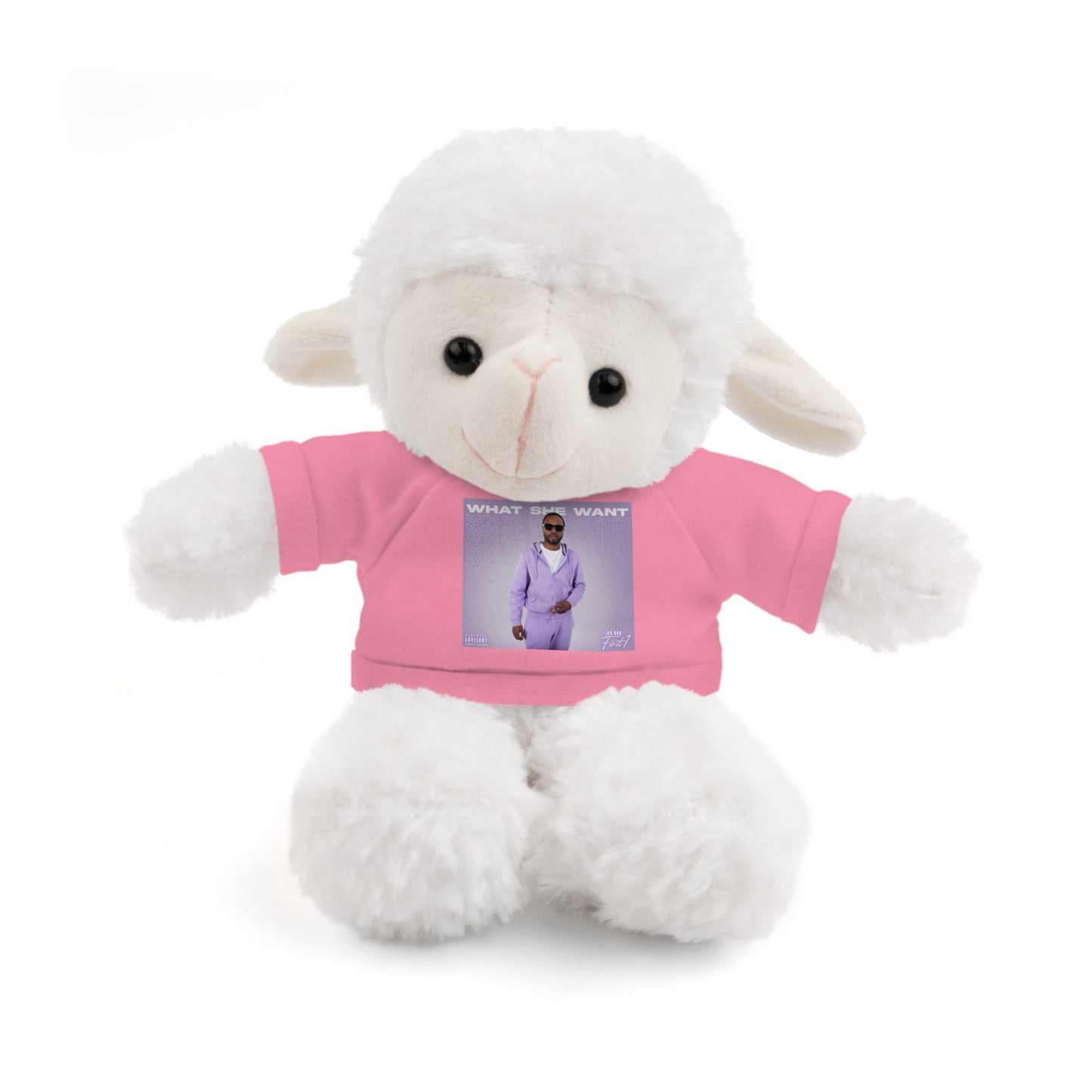 "WHAT SHE WANT" Stuffed Animals (Bear, Lion, Bunny, Sheep etc.)