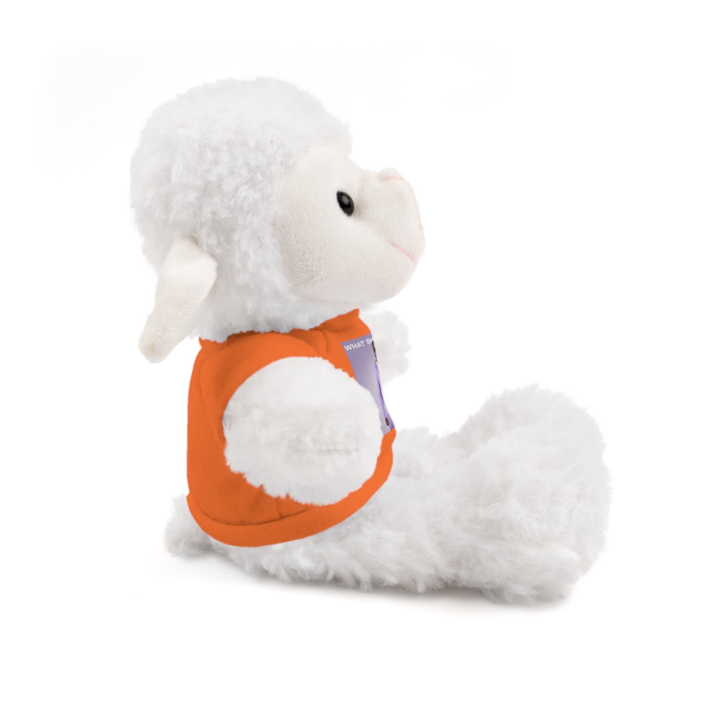 "WHAT SHE WANT" Stuffed Animals (Bear, Lion, Bunny, Sheep etc.)