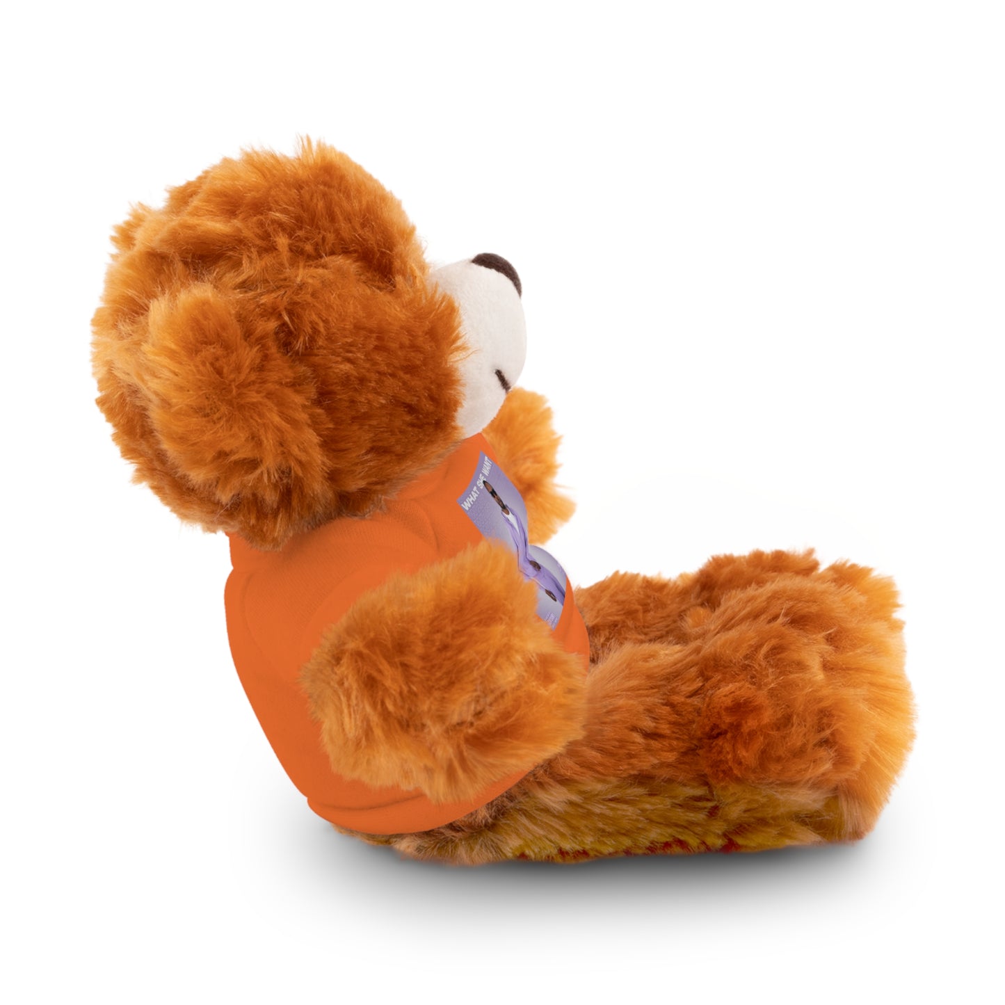 "WHAT SHE WANT" Stuffed Animals (Bear, Lion, Bunny, Sheep etc.)