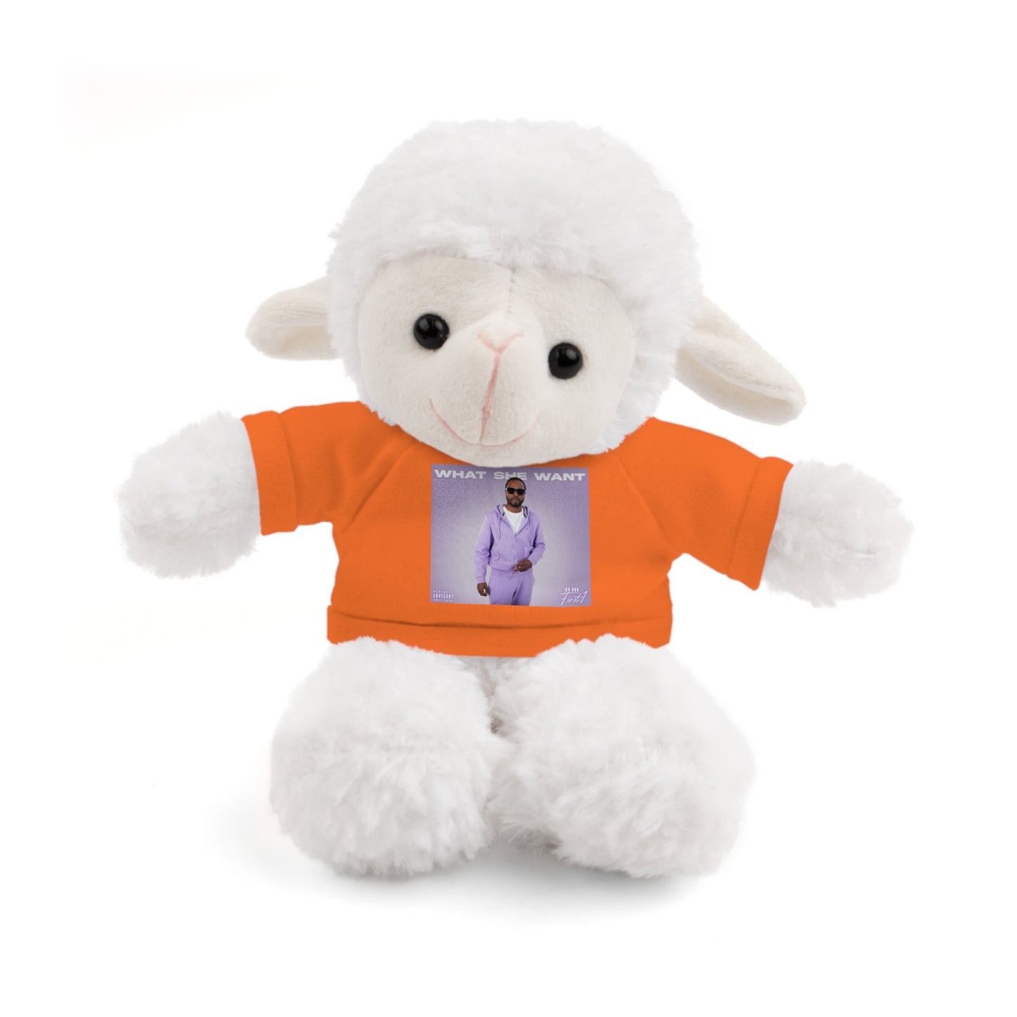 "WHAT SHE WANT" Stuffed Animals (Bear, Lion, Bunny, Sheep etc.)