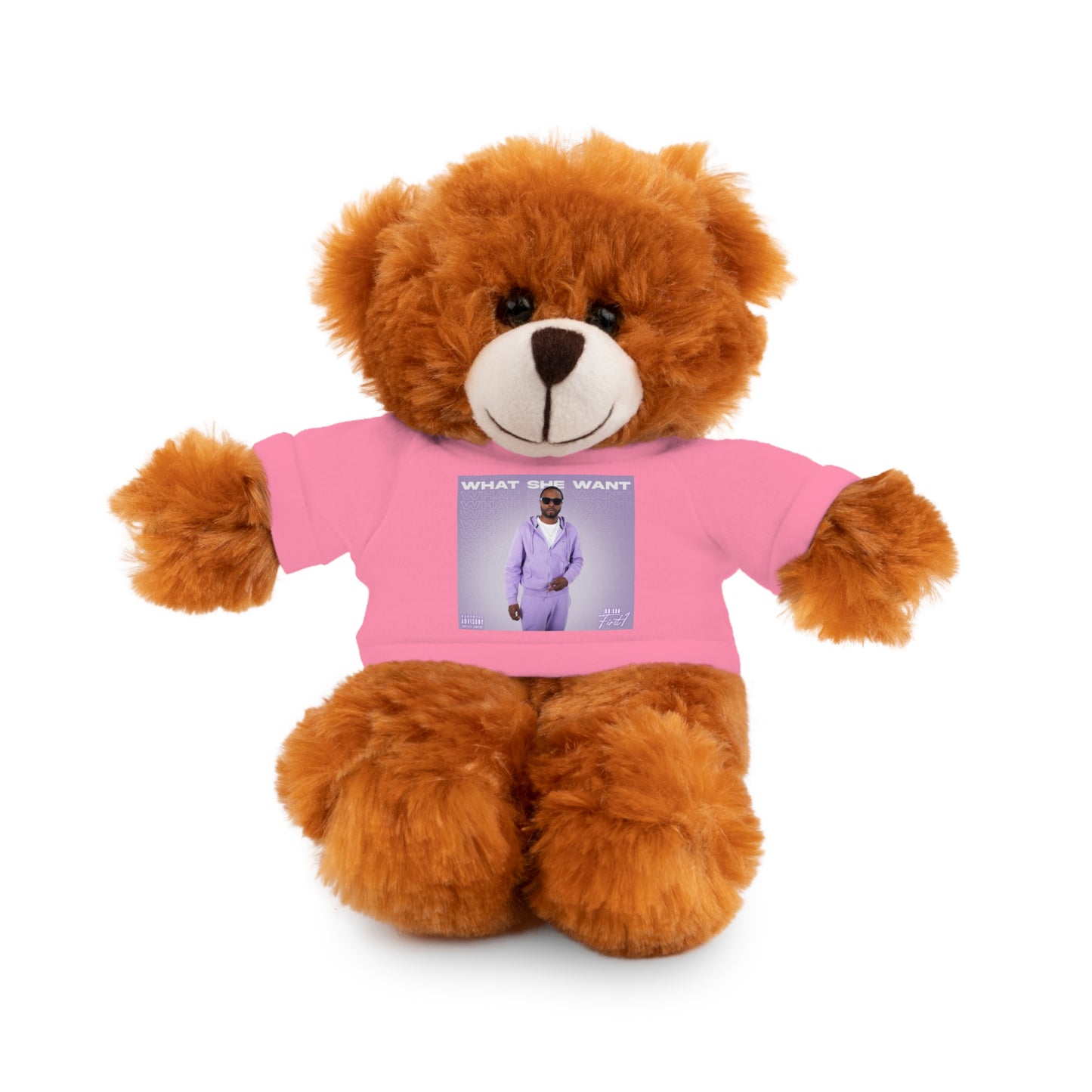 "WHAT SHE WANT" Stuffed Animals (Bear, Lion, Bunny, Sheep etc.)