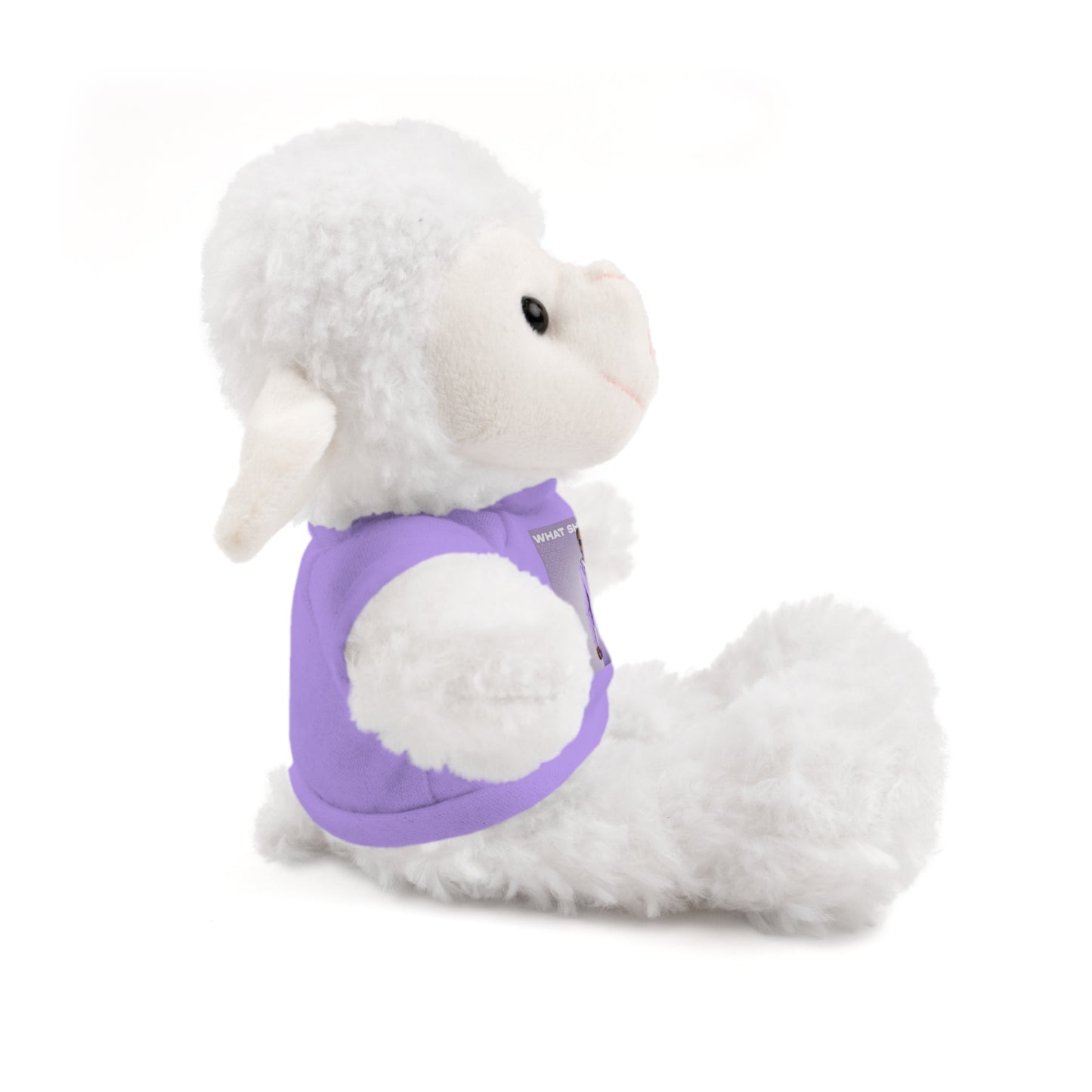 "WHAT SHE WANT" Stuffed Animals (Bear, Lion, Bunny, Sheep etc.)