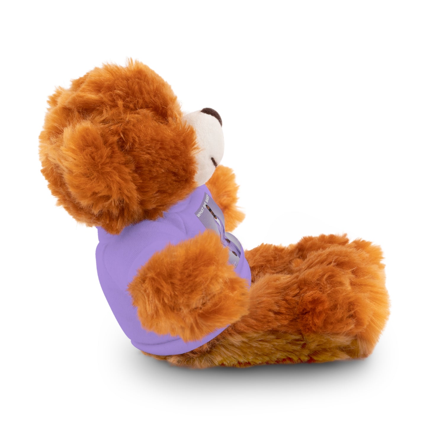 "WHAT SHE WANT" Stuffed Animals (Bear, Lion, Bunny, Sheep etc.)
