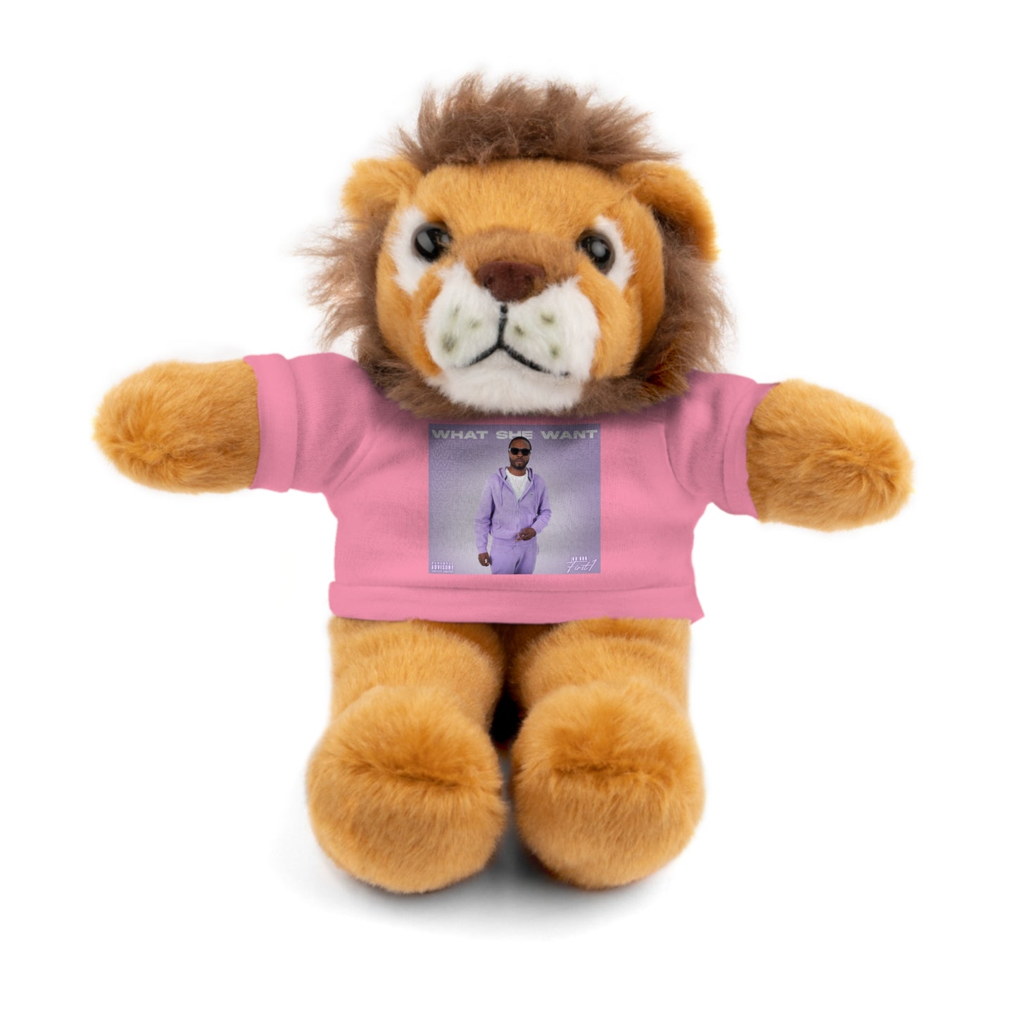 "WHAT SHE WANT" Stuffed Animals (Bear, Lion, Bunny, Sheep etc.)